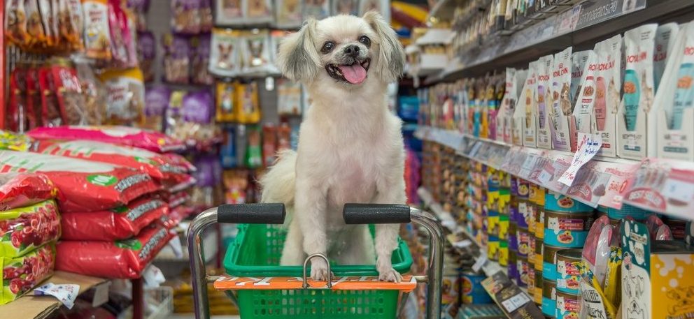 Your pets will love these locally owned Metro Detroit stores!